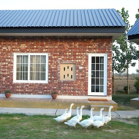Rustic Roots Farm Stay Attari Екстериор снимка